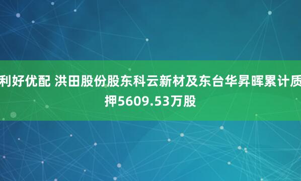 利好优配 洪田股份股东科云新材及东台华昇晖累计质押5609.53万股